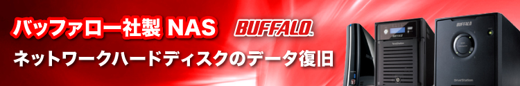 BUFFALO　HDDネットワーク TeraStationからの復旧　LinkStation テラステーション　リンクステーション